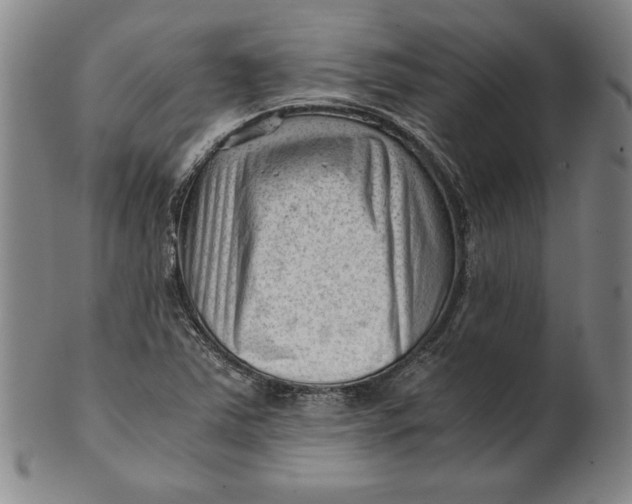 X0000101961363200808081518