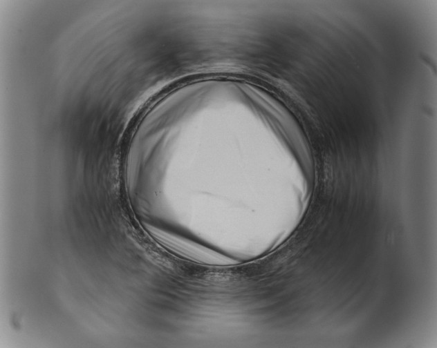 X0000101961364200808081518