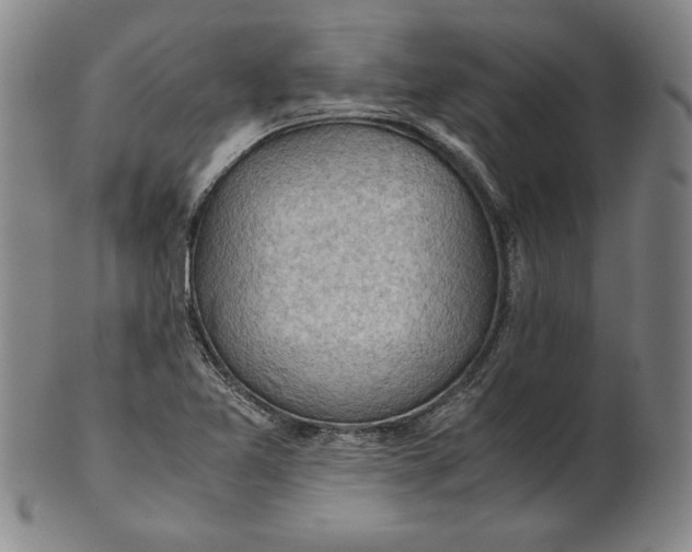 X0000101961365200808081518