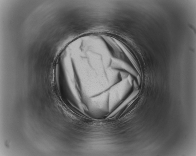 X0000101961366200808081518