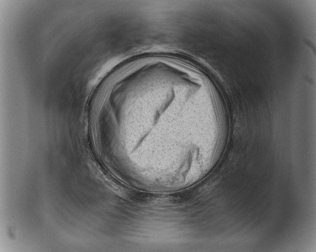 X0000101961367200808081518