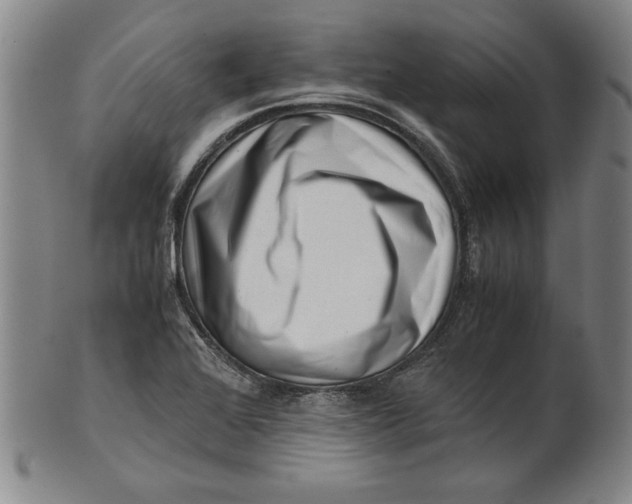 X0000101961368200808081518