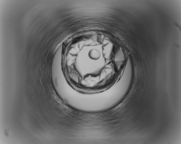 X0000101961369200808081518