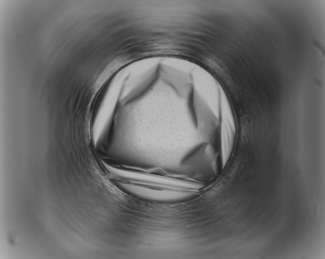 X0000101961370200808081518