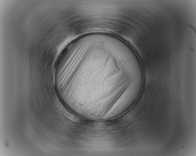 X0000101961371200808081518