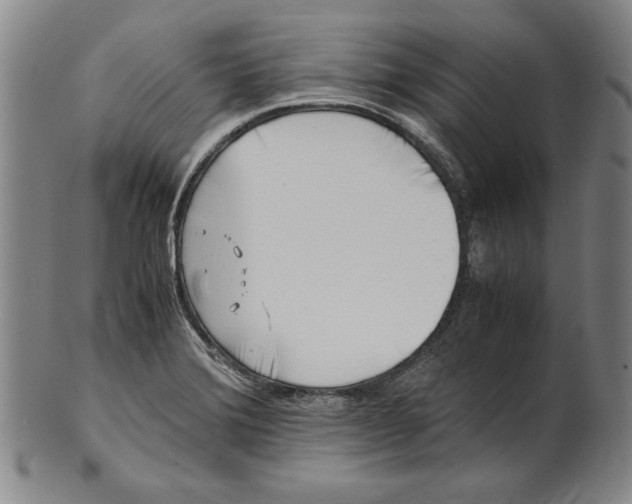 X0000101961372200808081518