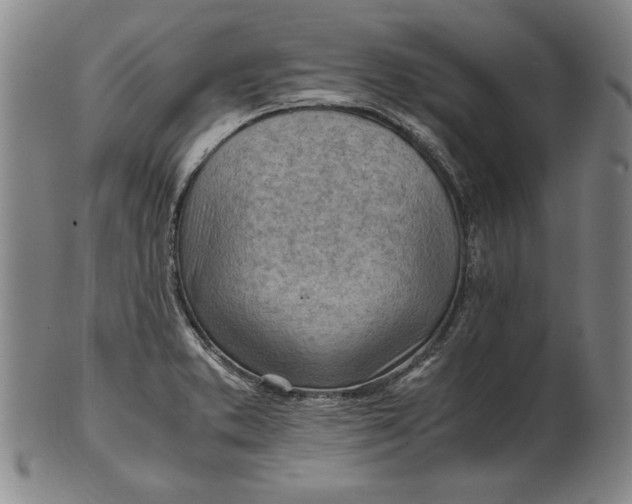 X0000101961373200808081518