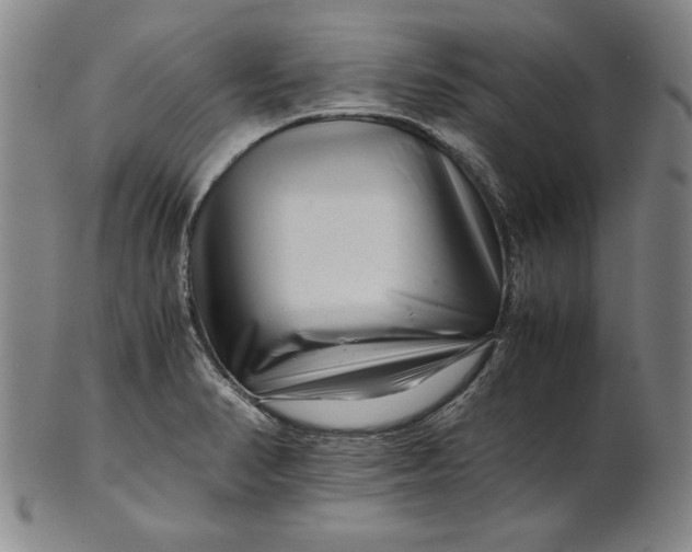 X0000101961374200808081518