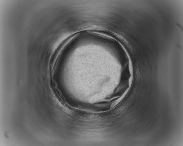 X0000101961375200808081518