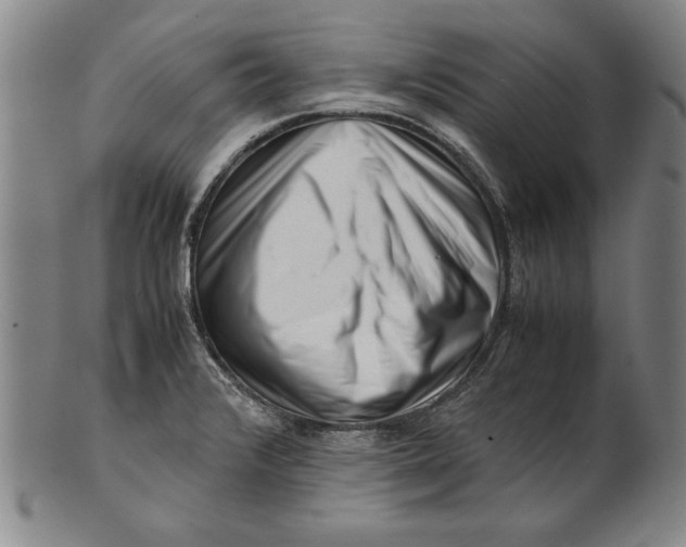 X0000101961376200808081518