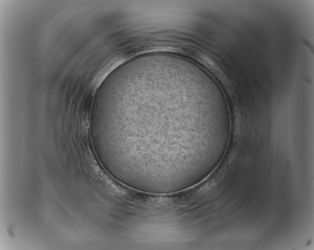 X0000101961377200808081518