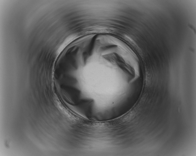 X0000101961378200808081518