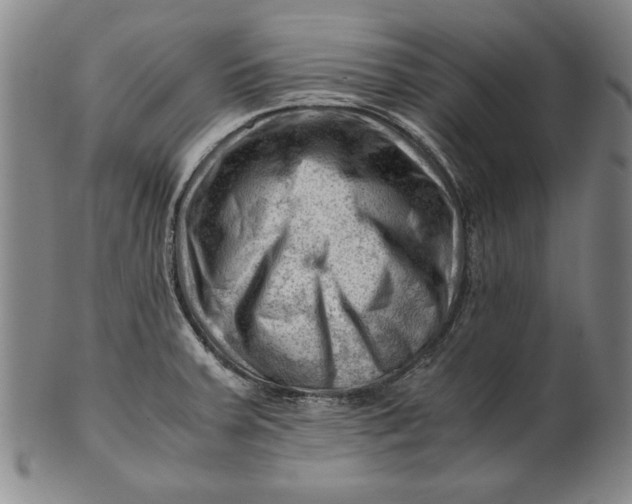 X0000101961379200808081518