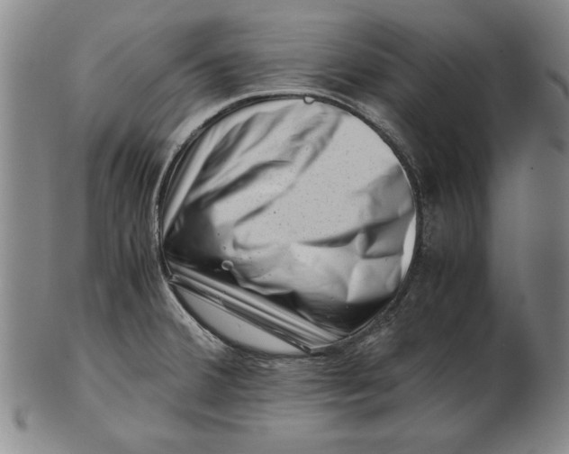 X0000101961380200808081518