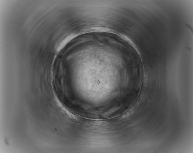 X0000101961381200808081518