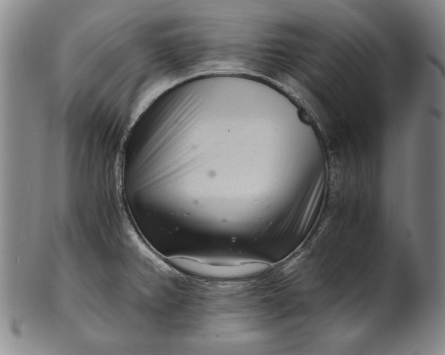 X0000101961382200808081518