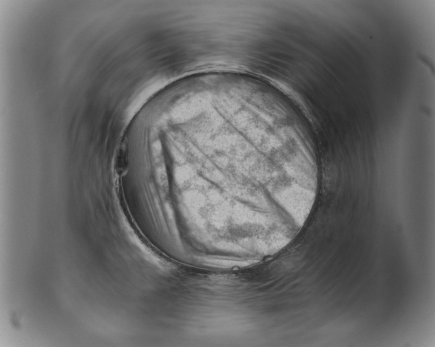 X0000101961383200808081518