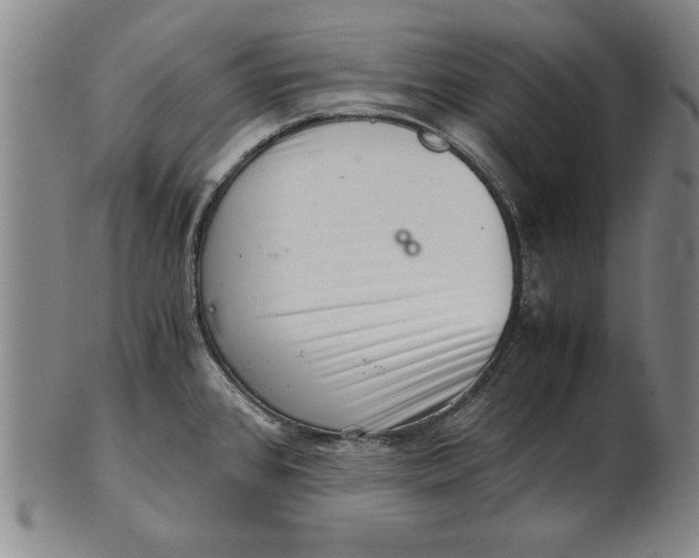 X0000101961384200808081518