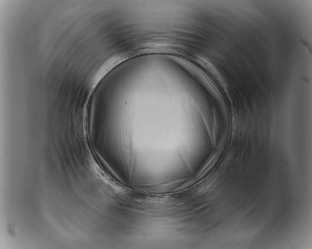 X0000101961386200808081518