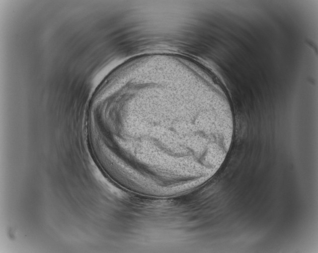 X0000101961387200808081518