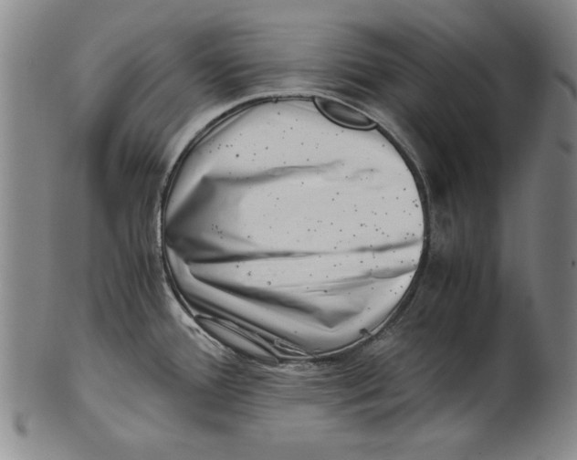 X0000101961388200808081518