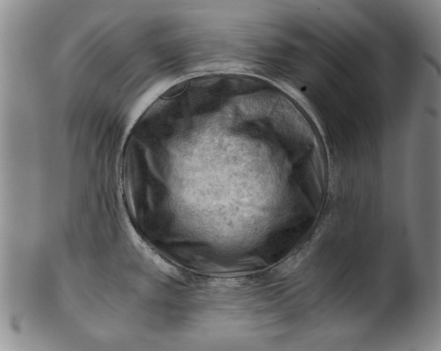 X0000101961389200808081518