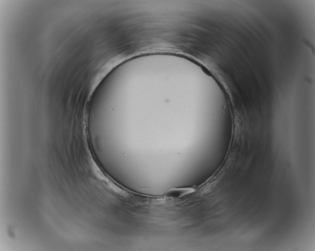 X0000101961390200808081518