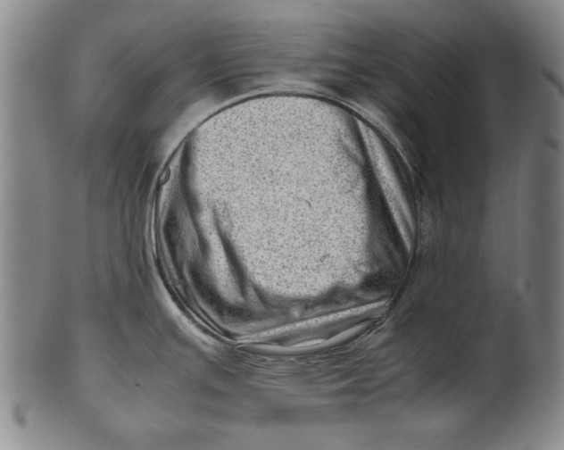 X0000101961391200808081518