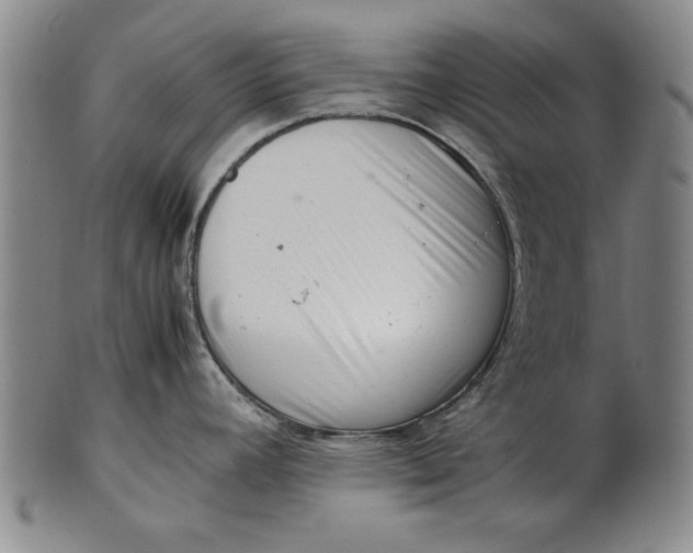 X0000101961392200808081518