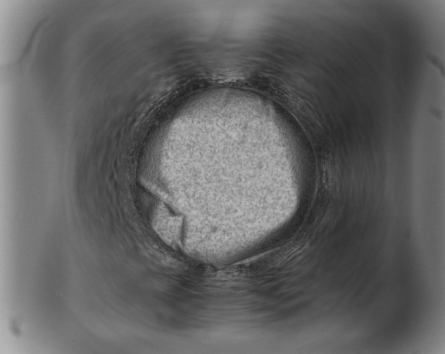 X0000101961393200808081517