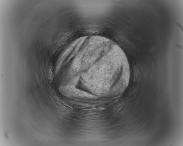 X0000101961394200808081517