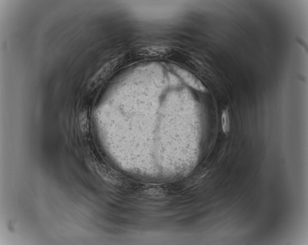 X0000101961395200808081517