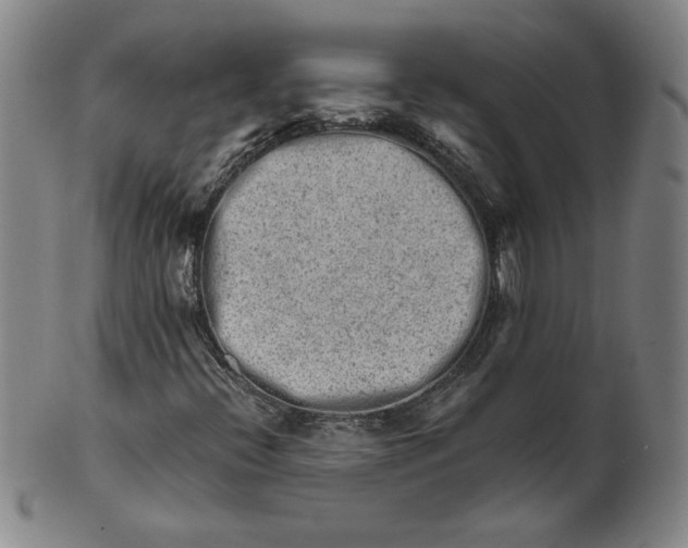 X0000101961396200808081517