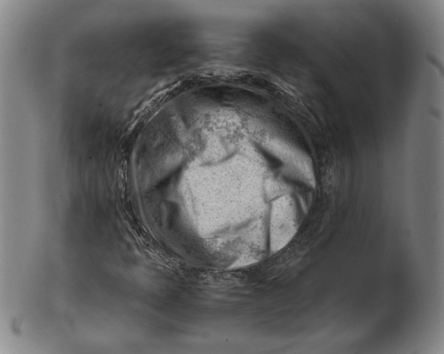 X0000101961397200808081517