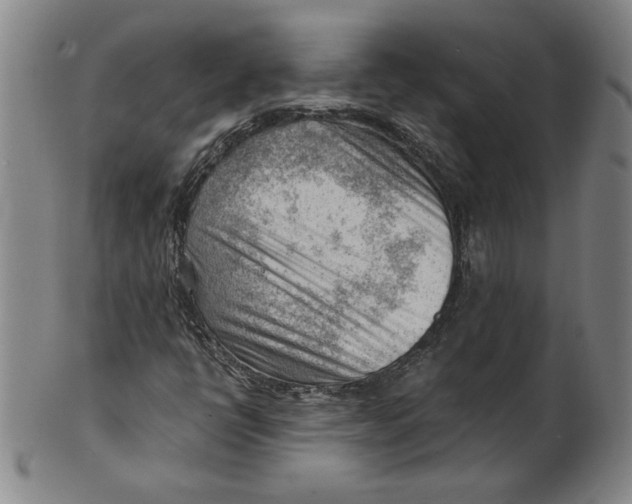 X0000101961398200808081517