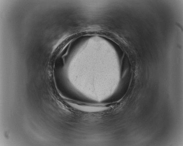 X0000101961400200808081517