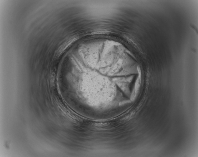 X0000101961401200808081517