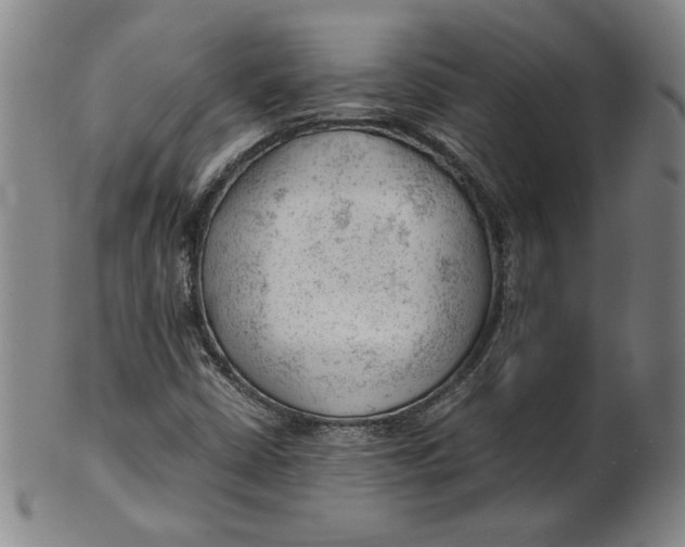 X0000101961402200808081517