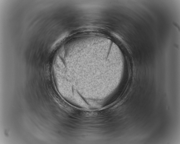 X0000101961403200808081517