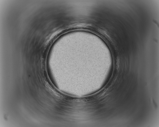 X0000101961404200808081517