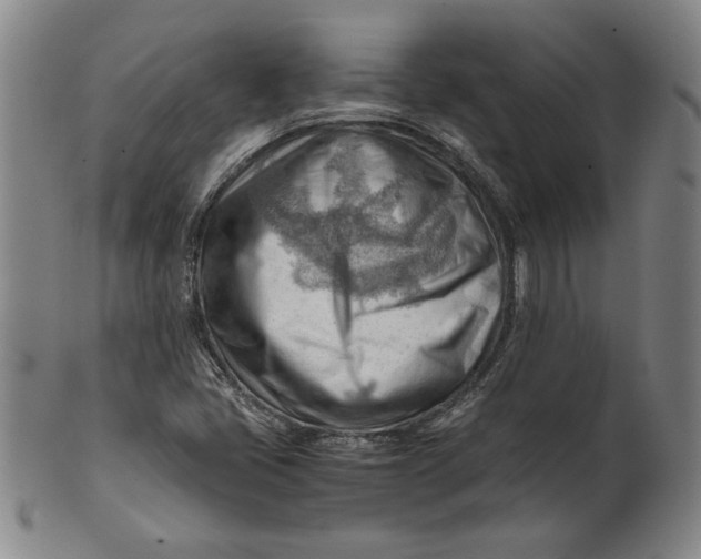 X0000101961405200808081517