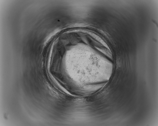 X0000101961406200808081517