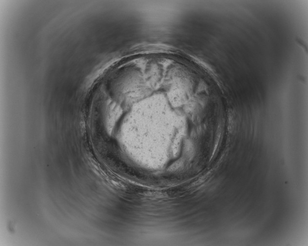 X0000101961407200808081517