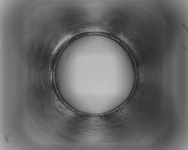 X0000101961408200808081517