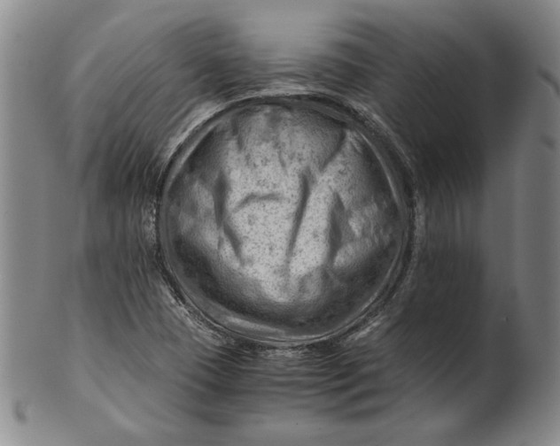 X0000101961409200808081517