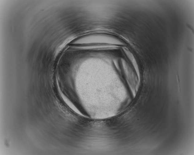 X0000101961410200808081517