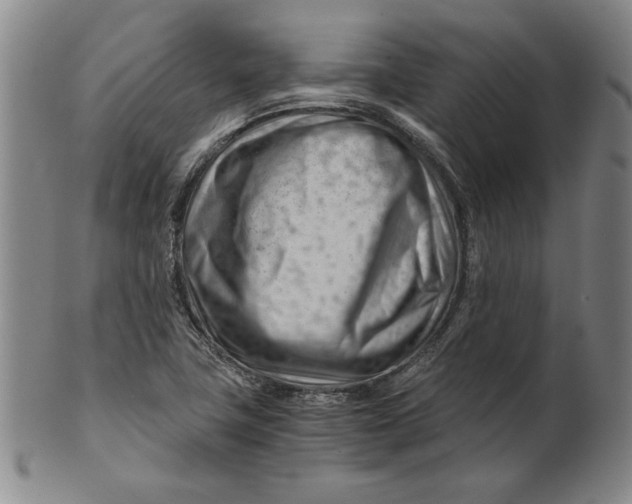 X0000101961411200808081517