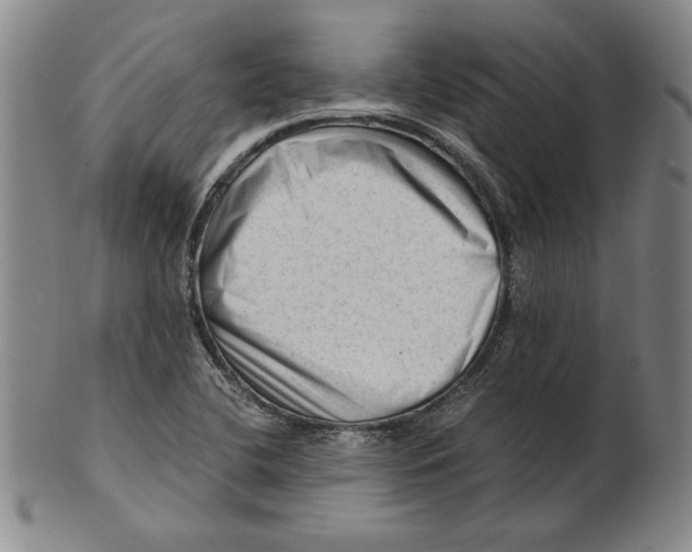 X0000101961412200808081518