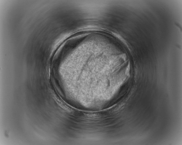 X0000101961413200808081518