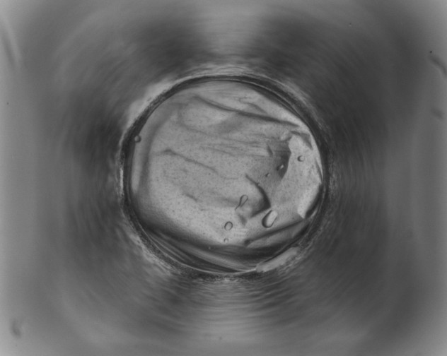 X0000101961414200808081518